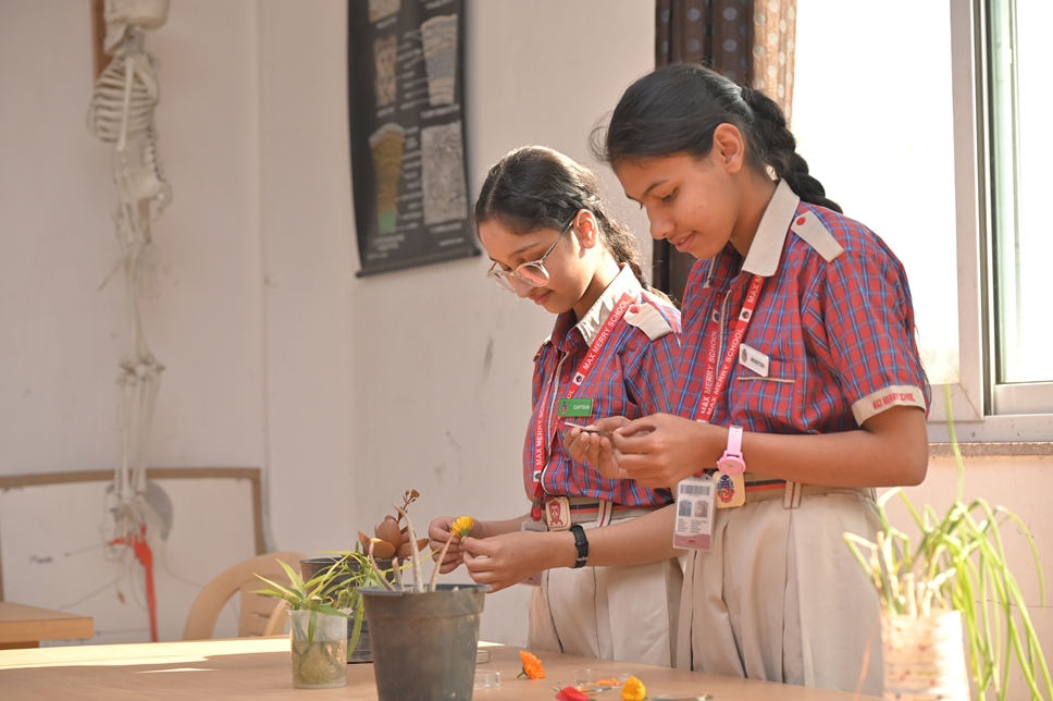 Max Merry School
